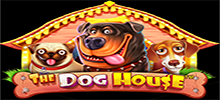 Join the gang in Dog House, the 5×3, 20 lines videoslot. All WILDs have multipliers on reels 2,3 and 4 and in the free spins round, stack the wins with the sticky WILDs feature.