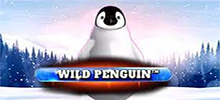 The slot machine Wild Penguin iis what you need if you've been long looking for an unusual slot that will fascinate you from the very first minutes. The advantages of this machine are the high-quality graphics, extraordinary theme and really high payout ratios. Check out the game’s features such as Stacked Symbols and Moving Stacked Wild and try your chance to win up to X3,000 on your total bet! 