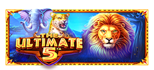 Join the greatest beasts of the African plains, in pursuit of up to 5,000x your stake! The buffalo, the leopard, the elephant, the strange black rhino and even the king of beasts himself. Cash symbols can have big prizes for you and three or more Scatter symbols activate the Free Spins feature, where reels can level up for more excitement! Both the reels and the animals are wild, in the latest African safari slot.
