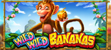 Enter the heart of the jungle and collect loads of bananas in Wild Wild Bananas™. Travel to the paradise of succulent and unmissable prizes, on this tropical island that is home to monkeys, pelicans and snakes, with which they must be formed as a corresponding combination in the 576 ways to win. Three incredible jackpots underpin this slot and you can hit the jackpot of up to 12,000x your stake! Collect lots of bananas and enjoy instant cash prizes.<br/>
<br/>
Have fun with Wild Wild Bananas™ now!